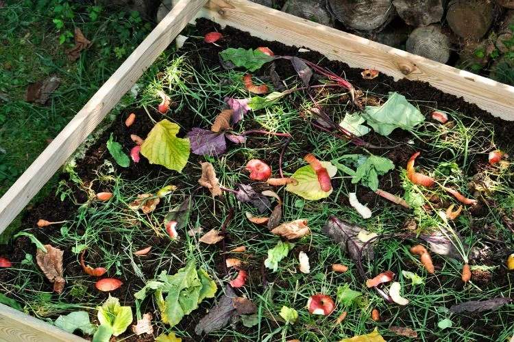 Bac à compostage