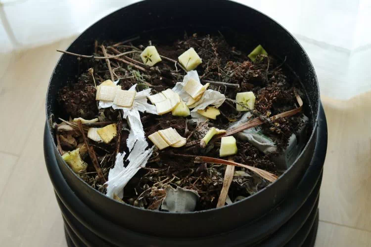 Composteur individuel