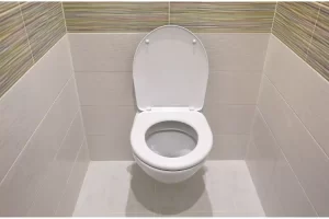 Toilettes avec un carrelage de deux couleurs aux murs