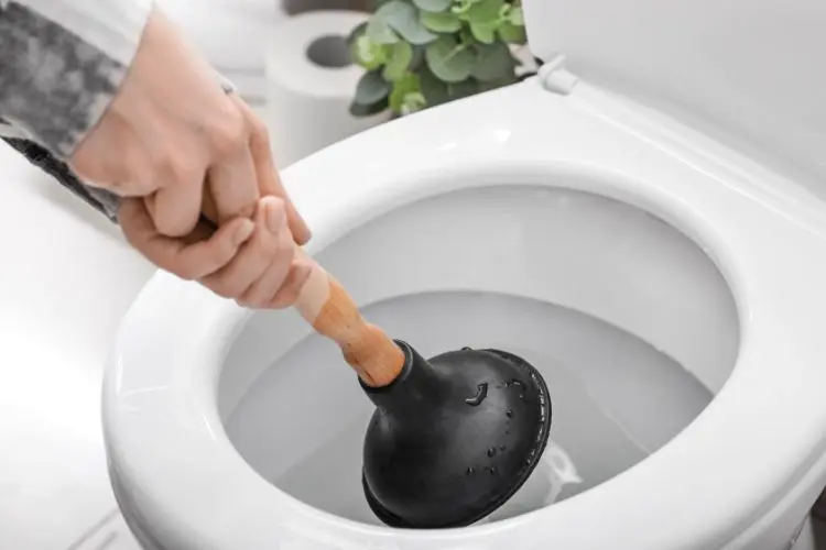 Une ventouse noire pour déboucher ses toilettes