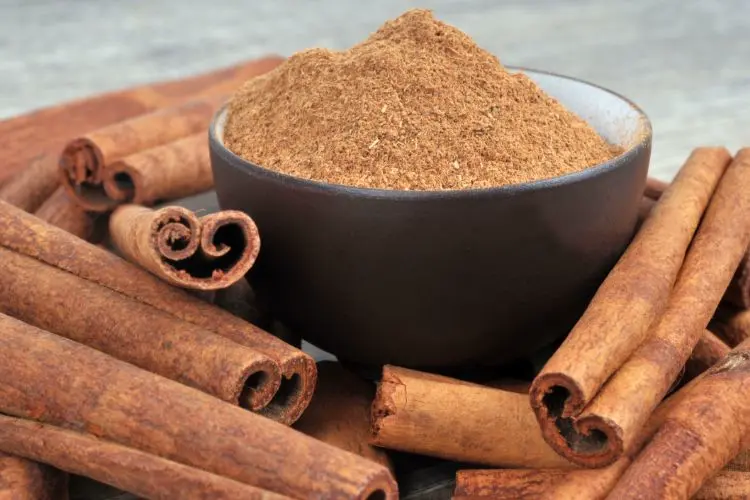 Cannelle comme répulsif contre araignée