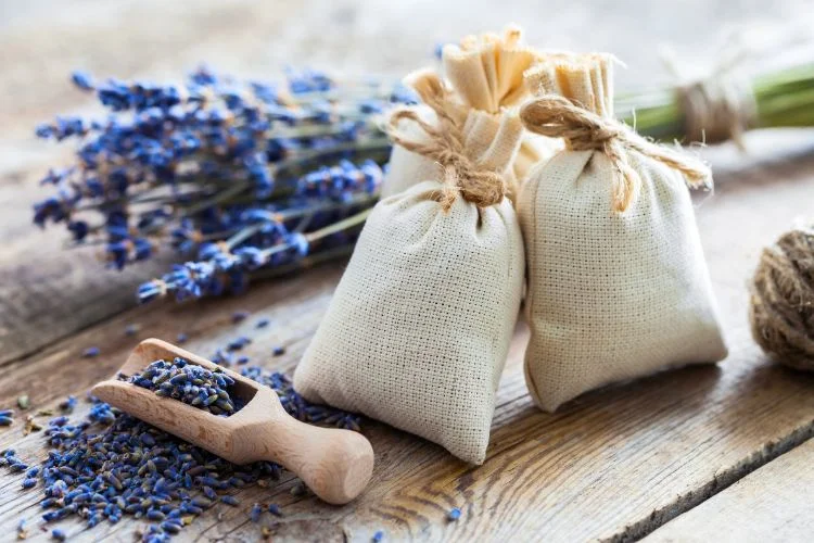 Des sachets de lavande blanc entourée de lavandes fraîches sur une table en bois.