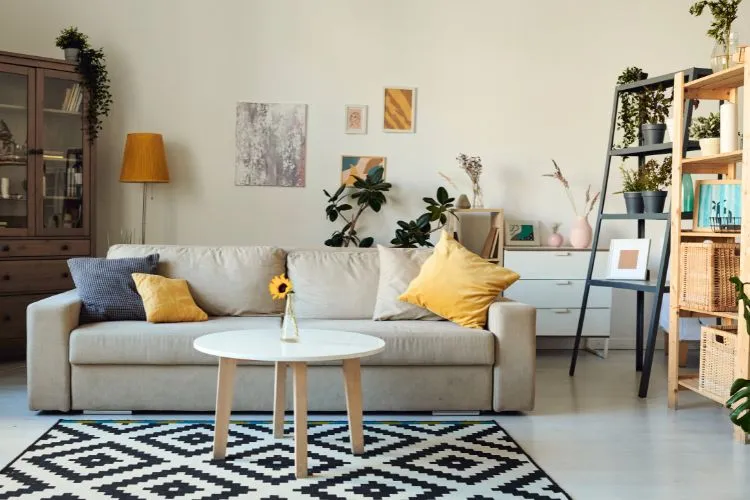 Un salon de taille moyenne cosy avec plein de décoration. 