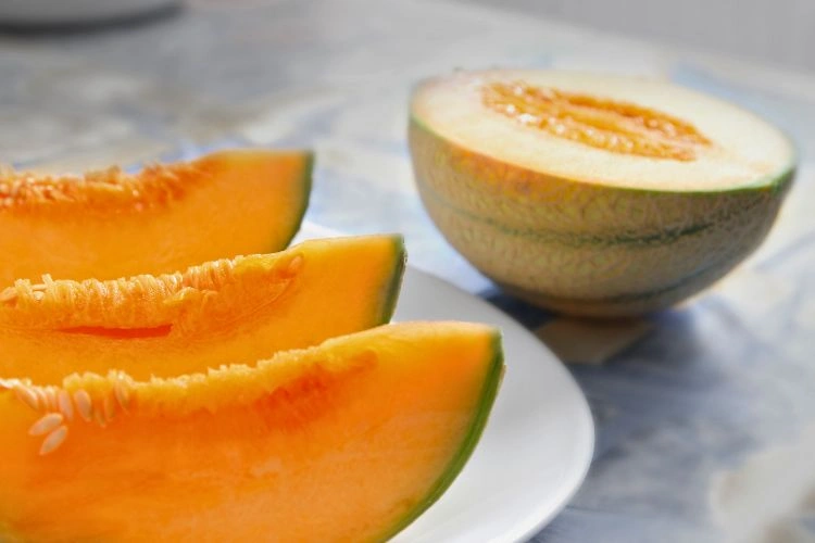 Melon découpé dans une assiette