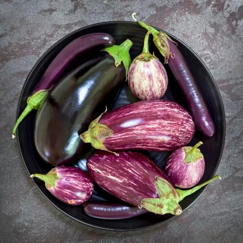 Plusieurs types d'aubergine dans un bol