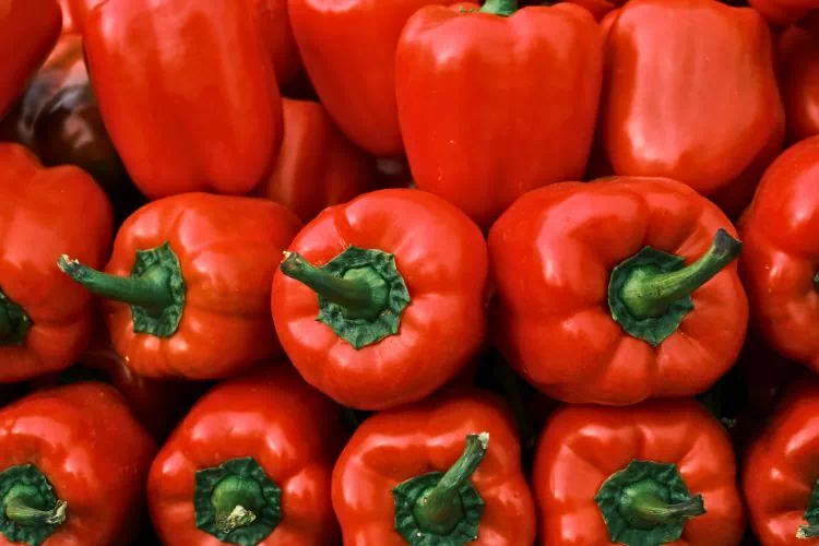 Poivrons rouges