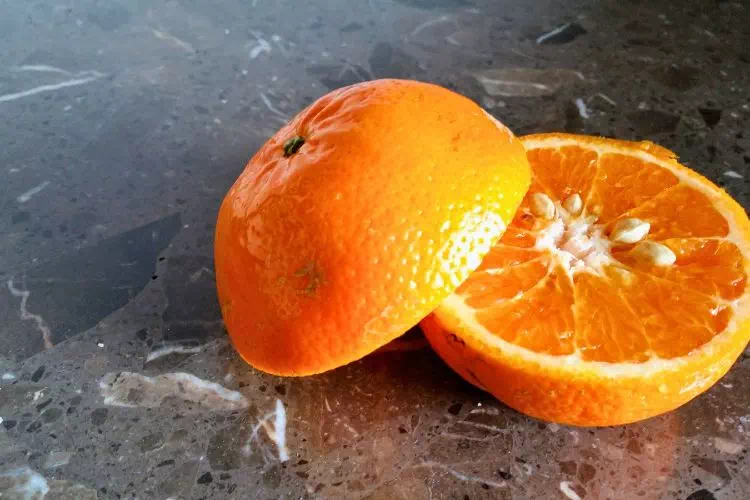 Orange découpé en deux