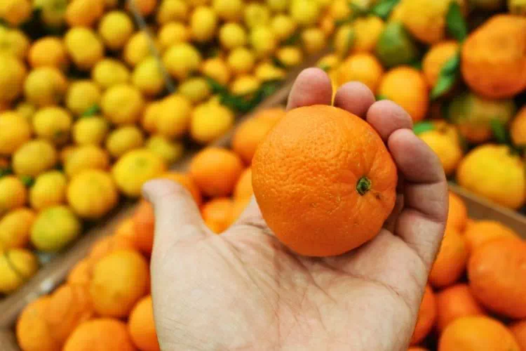 Orange dans une main